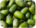Fruit du kiwi rustique (photo : Eye-blink, www.shutterstock.com).