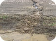 Rill erosion