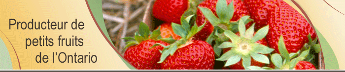 Ontario Berry Grower