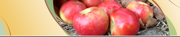 Pommes