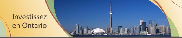 la Tour CN - le paysage de Toronto