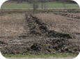 Des systèmes de drainages devraient être systématiquement installés dans de nombreux emplacements avant la plantation.