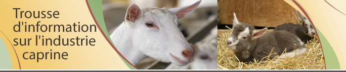 Goat Business Information Bundle